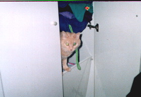 Tuli in the closet.